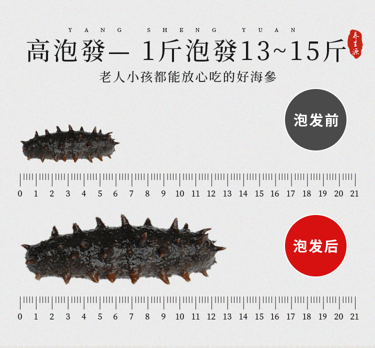 海参6