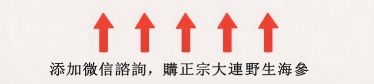 海参2